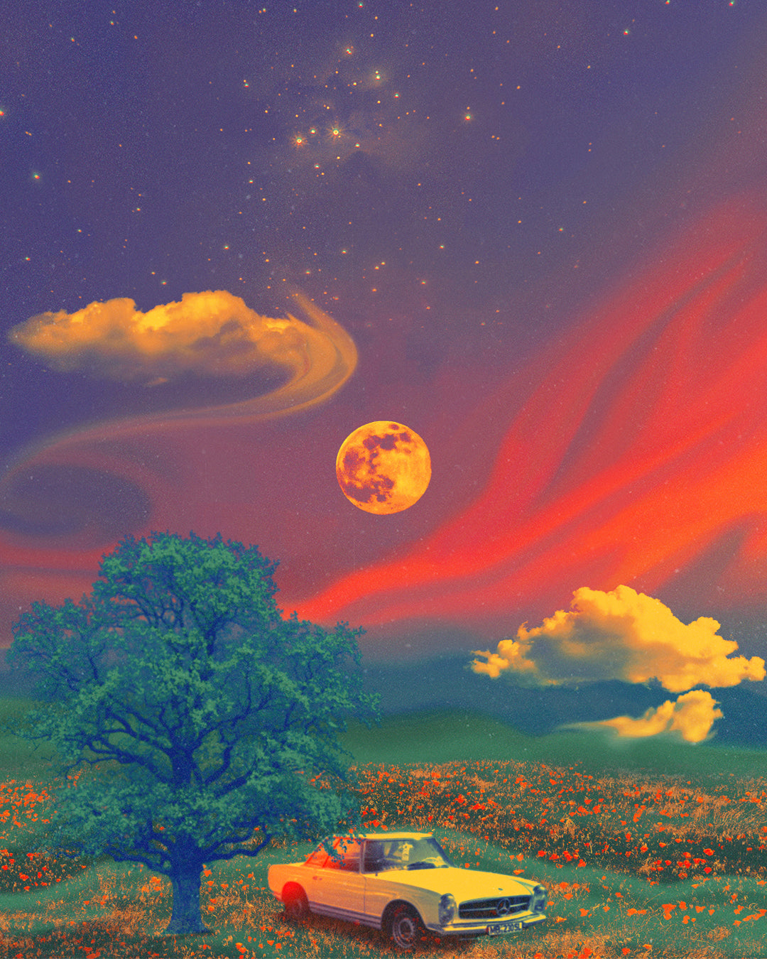 Summer Night